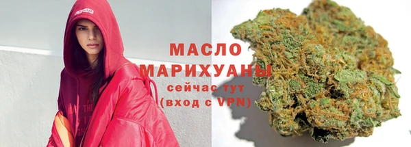 индика Новый Уренгой