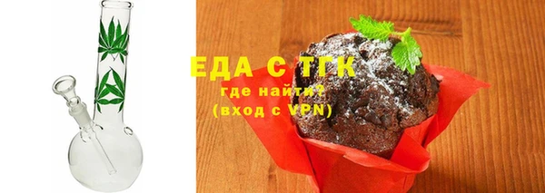 индика Новый Уренгой