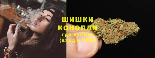 индика Новый Уренгой