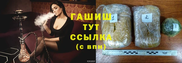 индика Новый Уренгой