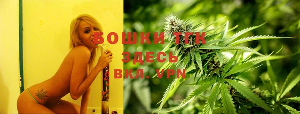 индика Новый Уренгой