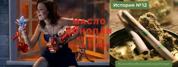 индика Новый Уренгой