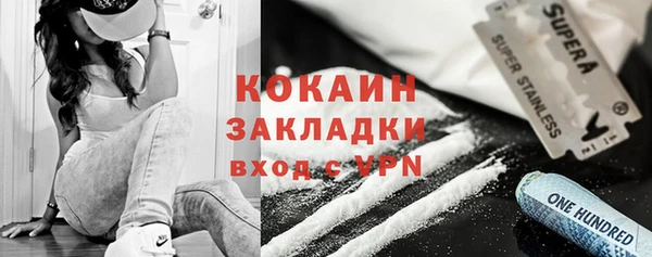 индика Новый Уренгой