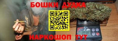 мдпв Будённовск