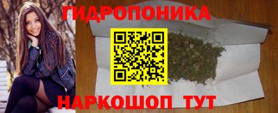 индика Апшеронск