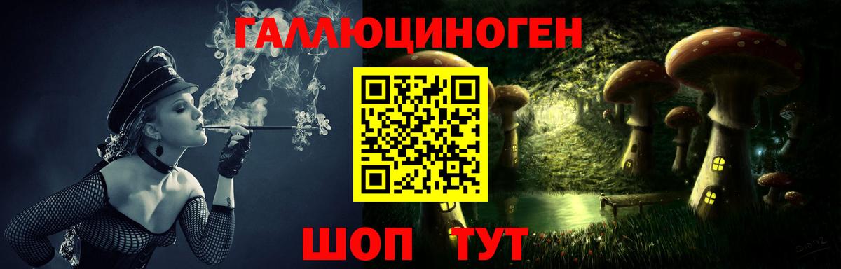 Псилоцибиновые грибы Psilocybine cubensis  Изобильный  Псилоцибиновые грибы Psilocybine cubensis 