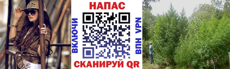 Шишки марихуана ГИДРОПОН  дарнет шоп  Изобильный 